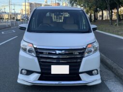 
										Noah Hybrid Pearl full									