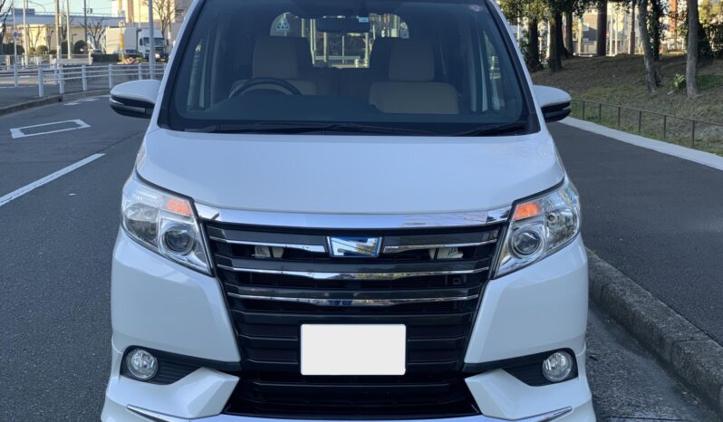 
								Noah Hybrid Pearl full									