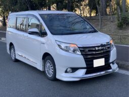 
										Noah Hybrid Pearl full									