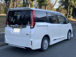 
										Noah Hybrid Pearl full									