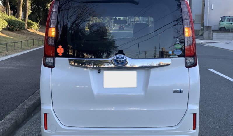 
								Noah Hybrid Pearl full									