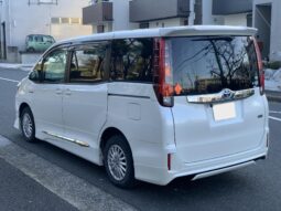 
										Noah Hybrid Pearl full									