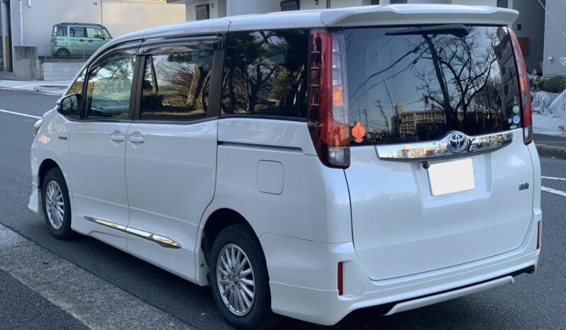 
								Noah Hybrid Pearl full									