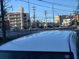 
										Noah Hybrid Pearl full									