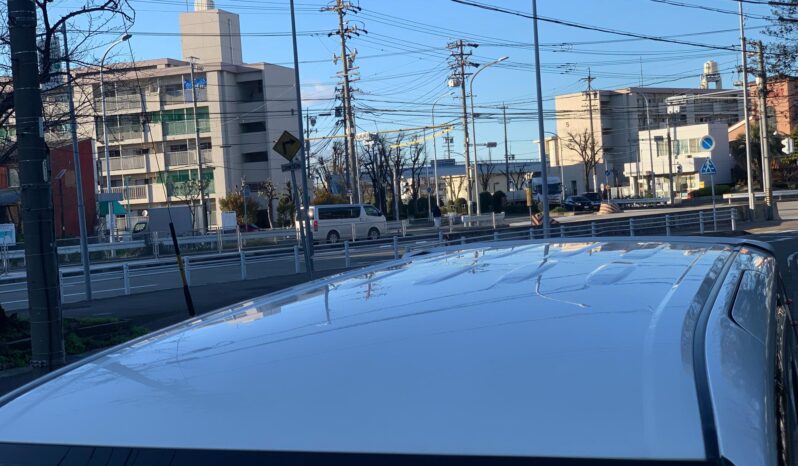 
								Noah Hybrid Pearl full									