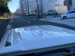 
										Noah Hybrid Pearl full									