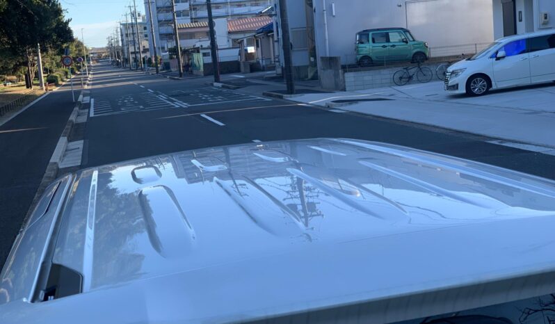 
								Noah Hybrid Pearl full									