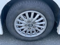 
										Noah Hybrid Pearl full									