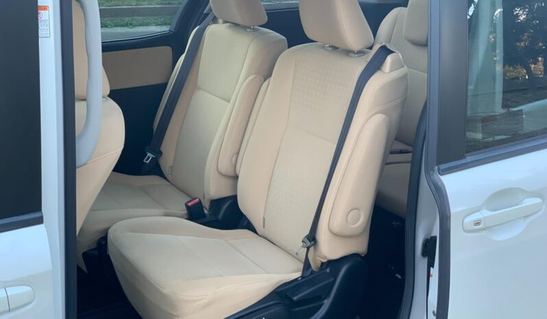 
								Noah Hybrid Pearl full									