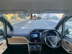 
										Noah Hybrid Pearl full									