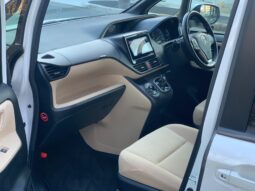 
										Noah Hybrid Pearl full									