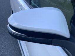 
										Noah Hybrid Pearl full									