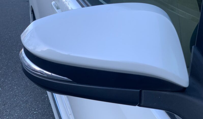 
								Noah Hybrid Pearl full									