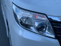 
										Noah Hybrid Pearl full									