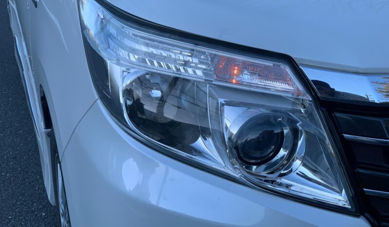 
								Noah Hybrid Pearl full									