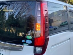 
										Noah Hybrid Pearl full									