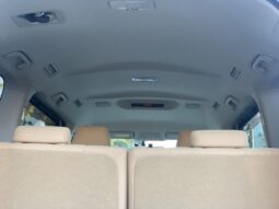 
										Noah Hybrid Pearl full									