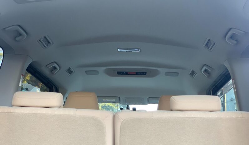 
								Noah Hybrid Pearl full									