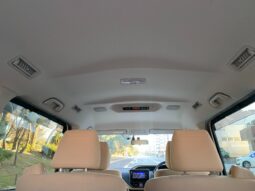 
										Noah Hybrid Pearl full									