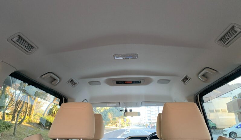 
								Noah Hybrid Pearl full									