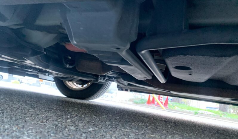 
								Noah Hybrid Pearl full									