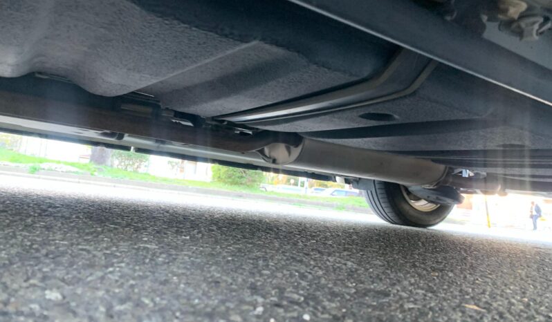 
								Noah Hybrid Pearl full									