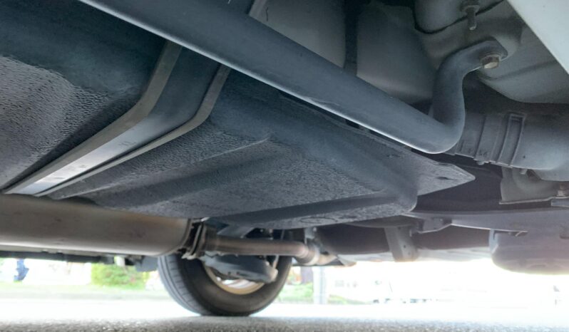 
								Noah Hybrid Pearl full									