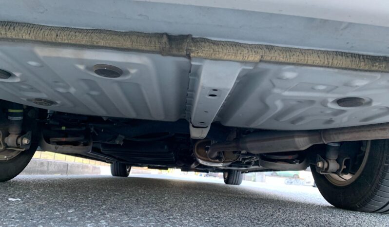 
								Noah Hybrid Pearl full									