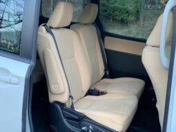 
										Noah Hybrid Pearl full									