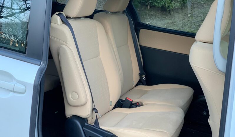 
								Noah Hybrid Pearl full									