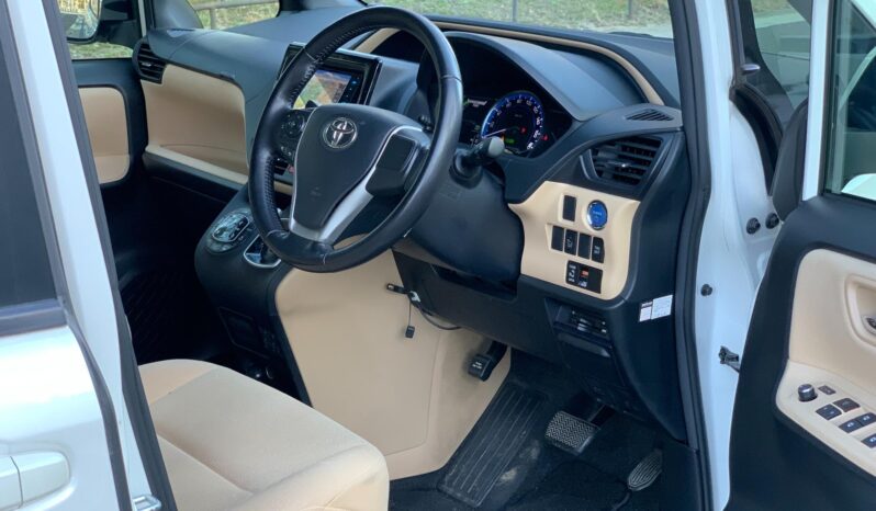 
								Noah Hybrid Pearl full									