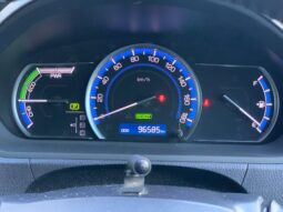 
										Noah Hybrid Pearl full									