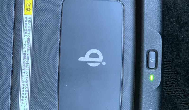 
								Noah Hybrid Pearl full									