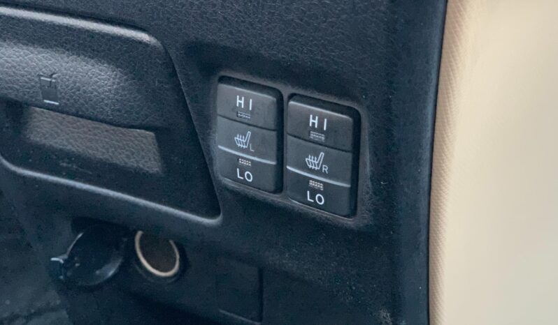 
								Noah Hybrid Pearl full									