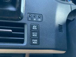 
										Noah Hybrid Pearl full									