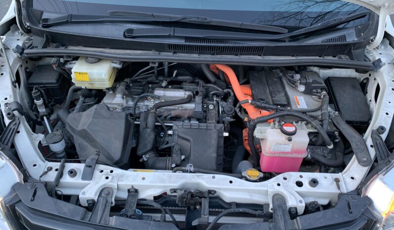 
								Noah Hybrid Pearl full									