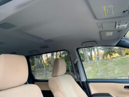 
										Noah Hybrid Pearl full									