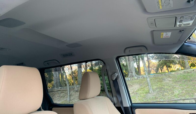 
								Noah Hybrid Pearl full									