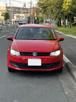 Polo Red