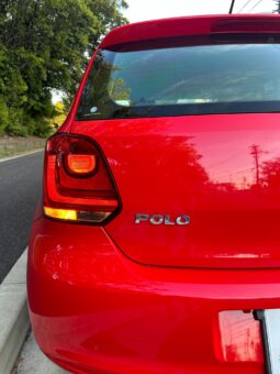 
										Polo Red full									