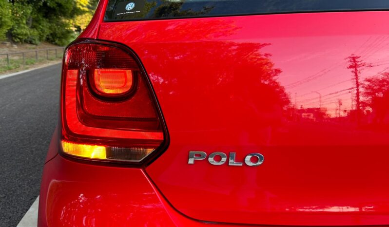 
								Polo Red full									