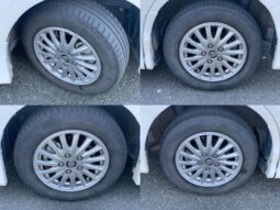 
										Noah Hybrid Pearl full									