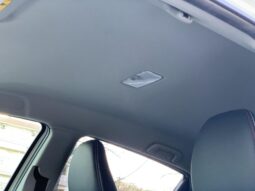 
										Vitz RS GS Pearl full									