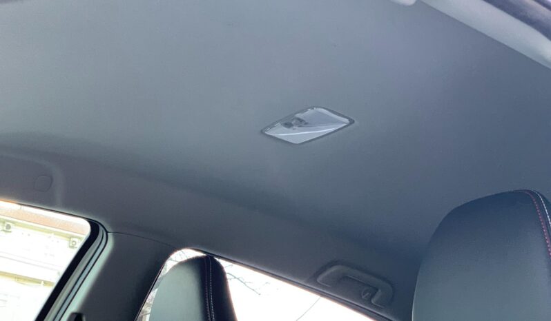 
								Vitz RS GS Pearl full									