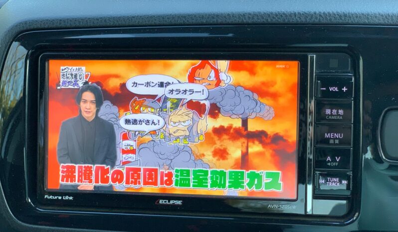 
								Vitz RS GS Pearl full									