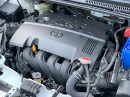 
										Vitz RS GS Pearl full									