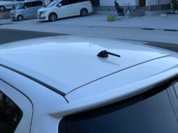 
										Vitz RS GS Pearl full									