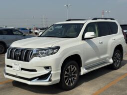 
										LAND CRUISER PRADO TX L PACKAGE full									